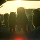 Image for article titled "Where The Wild Things Are" Is An Indie-Rock Tearjerker